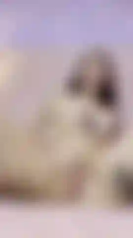 You want me soft... I promise I will be soft too