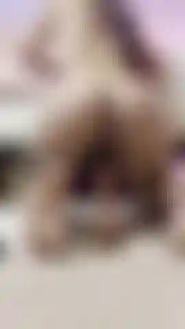 Today I am pamper and provoke