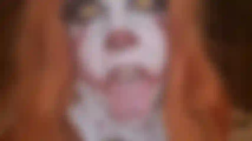 Pe**ywise cosplay: heißes dildospiel.