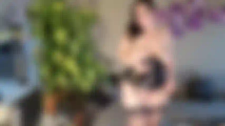 Wunschvideo - Erflle Userwnsche