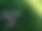 Friedliches video von mir, wie ich in meinem hinterhof auf einen dildo komme!