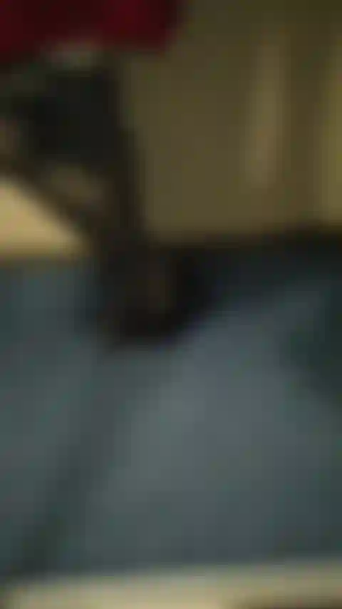 Sexy beine in strümpfen, high heels.