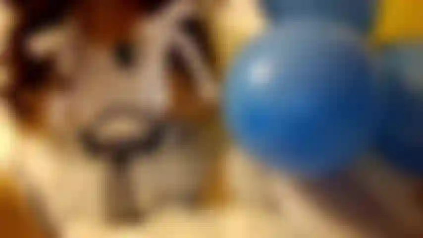 Balloon Fetishist Cuddles And Fucks Like A Crazy Looner