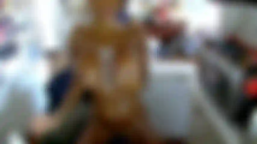 Die mit schlagsahne spielt.