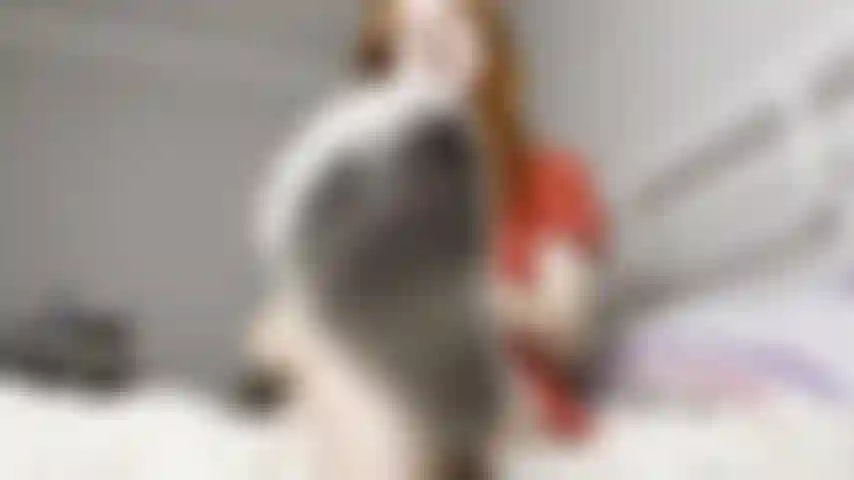 Socks domination, SPH!