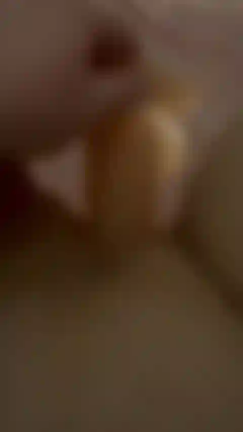 Bild_5729.