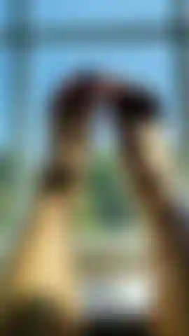 Sexy füße und zehen im fenster.