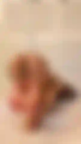 Footjob in doggystellung auf dildo.