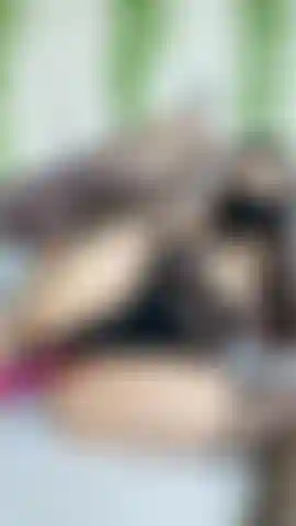 Benutze einen vibrator in meinem arschloch.