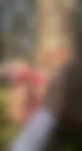 Öffentliche spiele teil 1 (auf den wald spritzen).