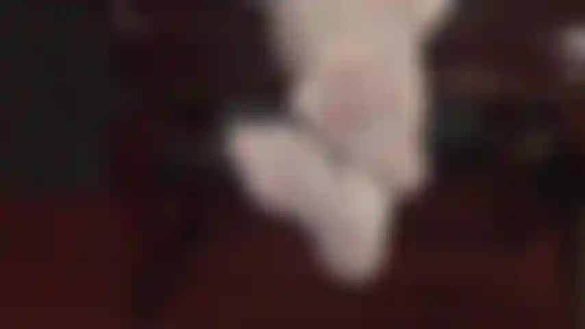 Von den füßen der herrin kannst du nicht genug bekommen, egal ob sie in glänzende weiße strumpfhosen gehüllt sind oder nackt. Herrin vivian nutzt deinen fußfetisch aus.