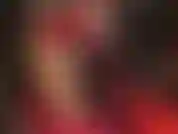 Eine verführerische dame in rot – herrin weiß genau, wie schwach und geil du auf meine beine in glänzenden goldenen strumpfhosen bist. Gepaart mit glänzenden roten handschuhen und einem kleid, das immer kürzer wird … oh mein gott!