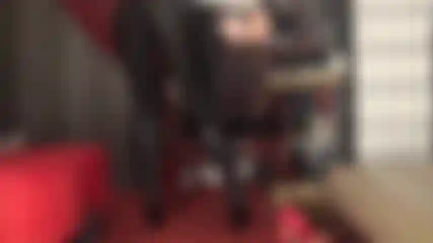 Herrin, und erfüllt sie mit dem wunsch, ihren schwanz überall in diesen engen schwarzen spandex-leggings und knielangen lederstiefeln zu streicheln.