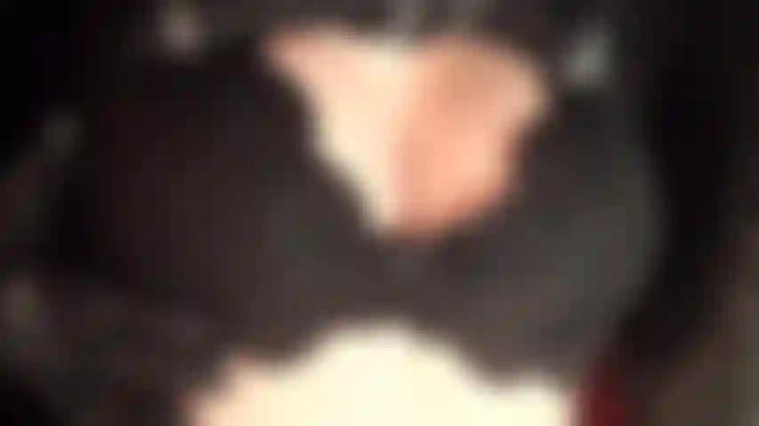 Ein sexy dekolleté-teaser in einem schwarzen spitzen-bh und lederhandschuhen.