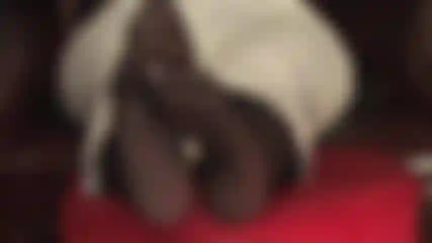 Die ihre fußfetischsucht stillt – herrin vivian wackelt mit ihren hübschen strumpfhosenfüßen vor ihrem gesicht.