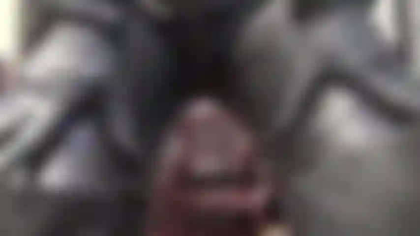 Ganz in schwarzes leder gekleidet, trägt herrin vivian einen catsuit mit durchgehendem reißverschluss, lange lederstiefel und handschuhe, um den lederliebhaber zu verwöhnen.