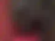 Die lederhosen verehrt – eine herrin in schwarzen lederhosen, kniestiefeln und weichen handschuhen.