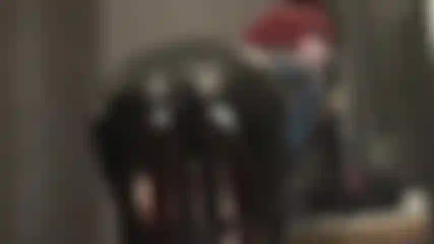 Pvc, catsuit, facesitting, spuckspiele – herrin lässt dich ihren perfekten hintern in einem glatten schwarzen pvc-catsuit küssen. Dir direkt in den mund zu spucken, während sie deinen hals drückt.