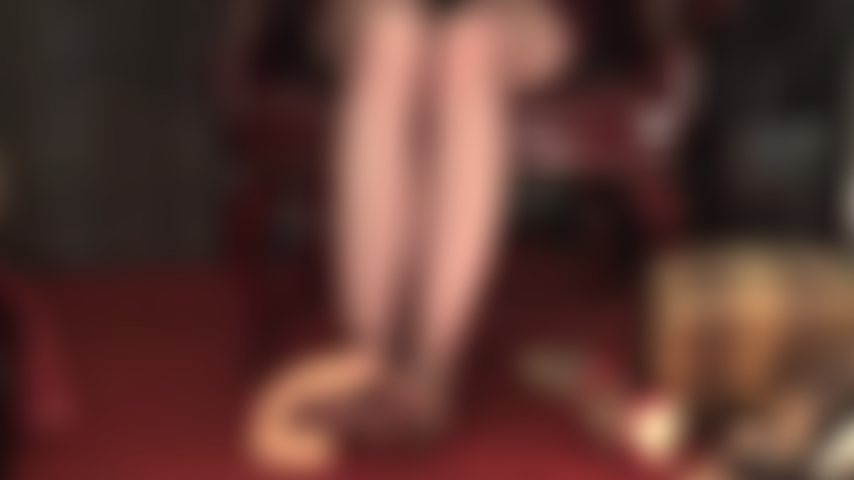 Die füße, beine und schenkel von herrin vivian werden von so vielen schwänzen begehrt ... Herrin melkt sie alle!