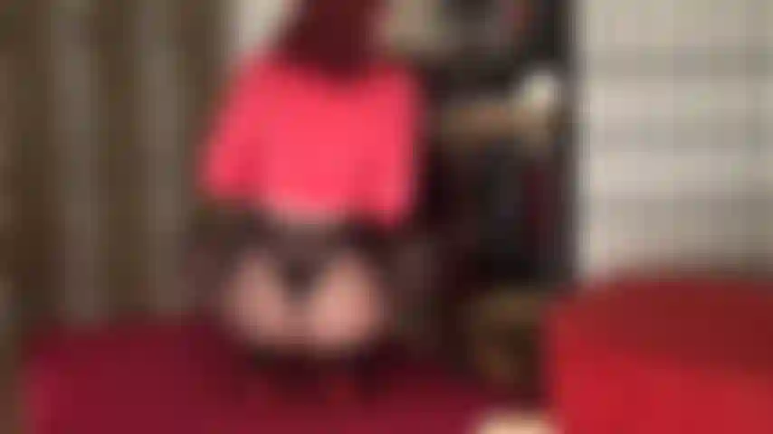 Zieh deinen schwanz und deine eier an und melke dich trocken für meinen fantastischen arsch, meine hüften und schenkel in schwarzen und sehr durchsichtigen strumpfhosen.