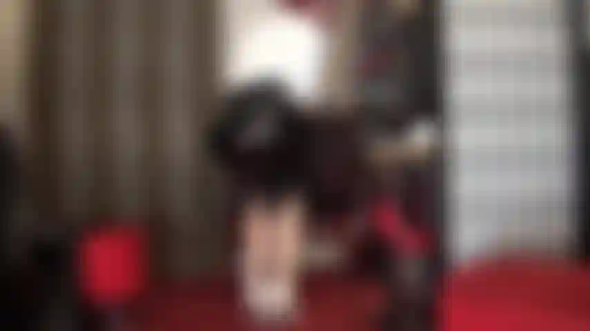 Du bist ein wichser für den arsch und schritt der herrin in strumpfhosen. Du wichst ununterbrochen. Du kannst einfach nicht aufhören, dich selbst zu berühren. Spuck auf deinen schwanz, versohle ihn, wichs ihn, verlierer.