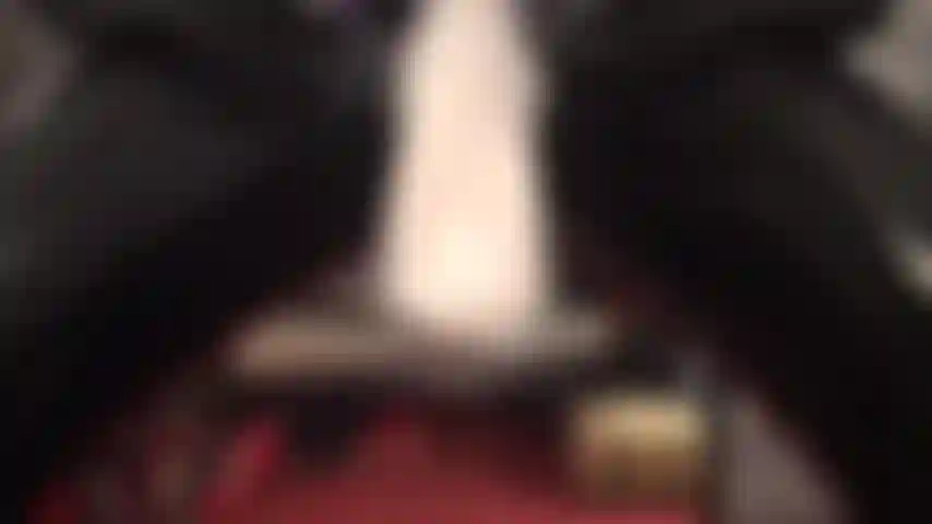 Pvc-leggings, sexy heels und ein großer strap-on mit nylonüberzug – deine männermuschi zuckt und dein mund steht beim anblick des riesigen, fleischigen schwanzes der herrin weit offen.