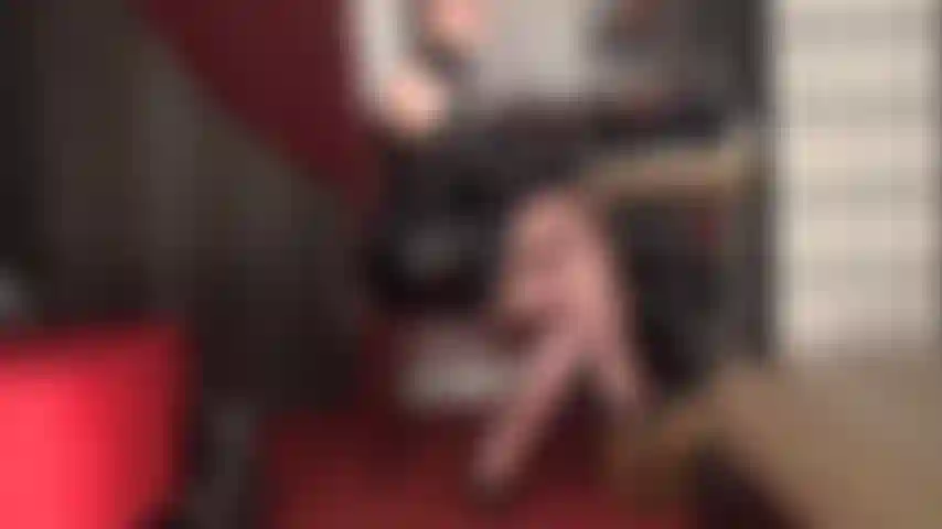 Herrin vivian verführt sie dazu, ihren perfekten, runden, in strumpfhosen gehüllten hintern und ihre breiten hüften zu streicheln.