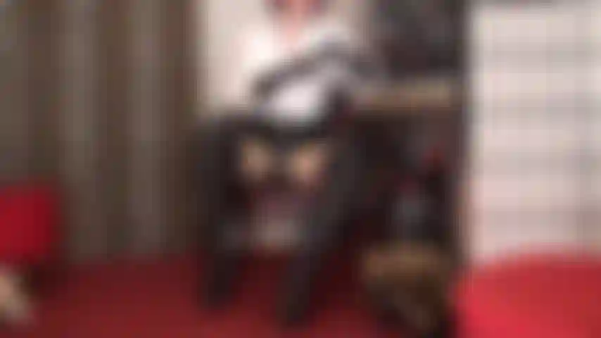 Die kombination aus schwarzen lederstiefeln und strap-on ist deine größte schwäche – 20 cm strap-on sind genau die richtige größe zum saugen, aber zuerst lässt dich die herrin an ihren 1,5 cm hohen stiefelabsätzen üben. Wenn du ein braver junge bist, darfst du diese stiefel danach ficken.