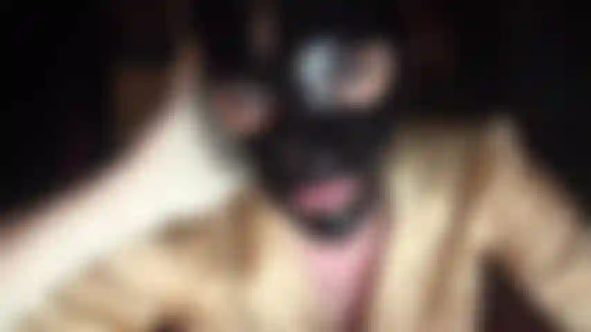 Latexfetischistin – glänzende schwarze gummihaube und weiße latexhandschuhe.