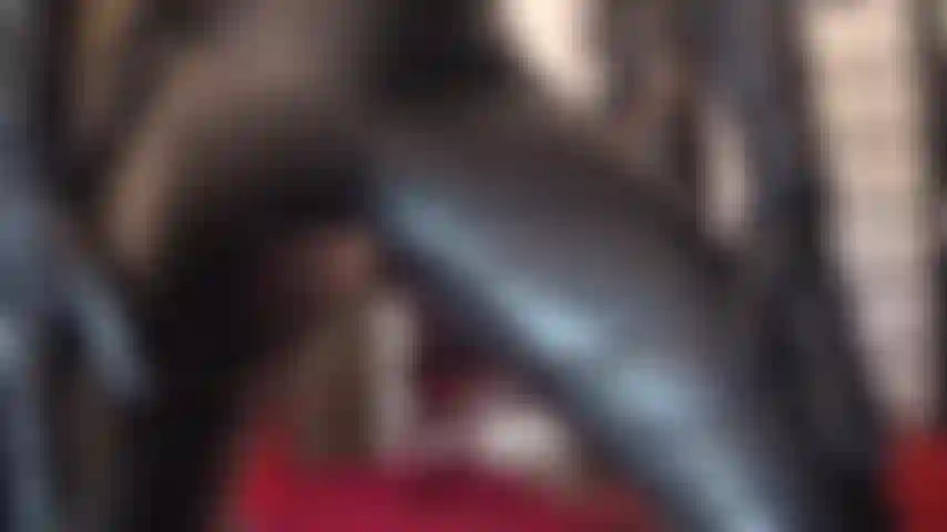 Die eine göttin aus leder anbetet – eine enge lederhose, handschuhe und hohe stiefel lassen ihr herz höher schlagen.