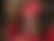 Ooooh, schau zu, wie die herrin sexy schwarze strümpfe mit spitzenabschluss anzieht und den beinliebhaber mit ihren langen übereinandergeschlagenen beinen und füßen in neongelben peeptoe-pumps neckt.