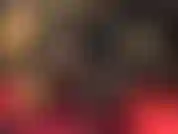 Verehre riesige schwarze schwänze.