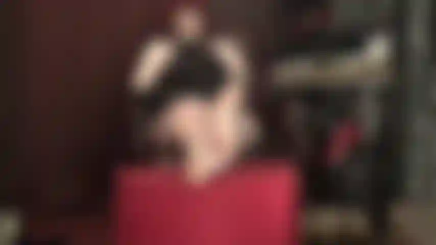 Verführerische nackte füße – du kniest quer durch den raum, mit halsband, leine und in keuschheit eingeschlossen, sabbernd. Du würdest alles tun, um näher zu kriechen und die perfekten weichen sohlen und sexy zehen der herrin anbeten zu dürfen.