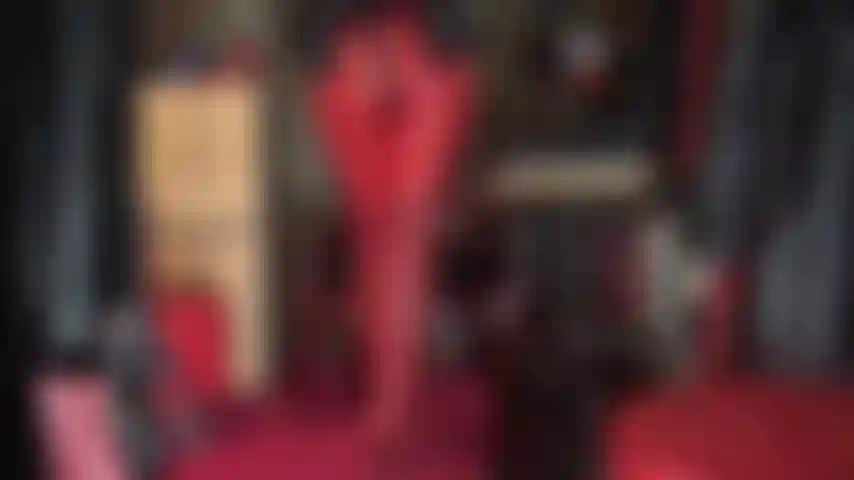 Arsch und schwanz – beides macht dich so geil, wenn du den wundervollen runden hintern der herrin in engen roten leggings mit ihrem riesigen schwarzen strapon baumeln siehst.