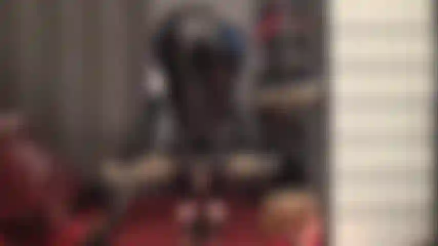 Gönnen sie sich diese figurbetonten, glänzenden pvc-leggings, die so eng am hintern der herrin anliegen und direkt auf ihr gesicht fallen.