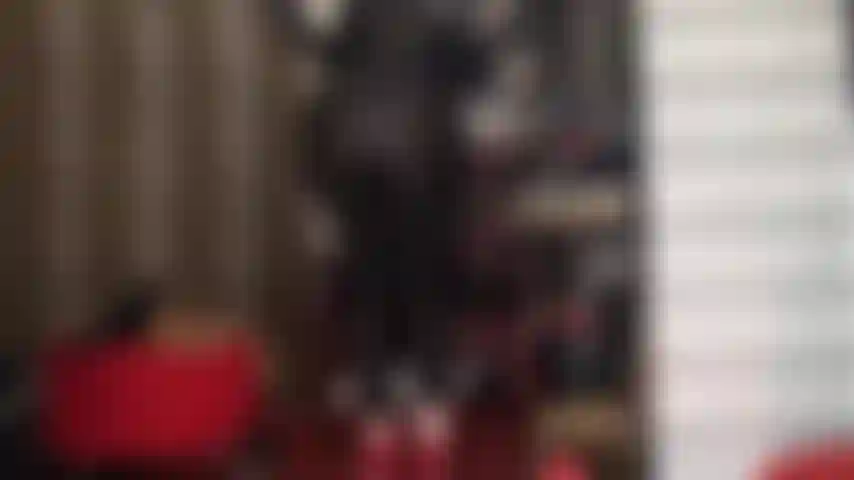 Süchtig nach dem perfekten hintern von herrin vivian – genießen sie diese arschverehrung von schwarzen und glänzenden spandex-leggings bis hin zum nackten hintern im marineblauen tanga.