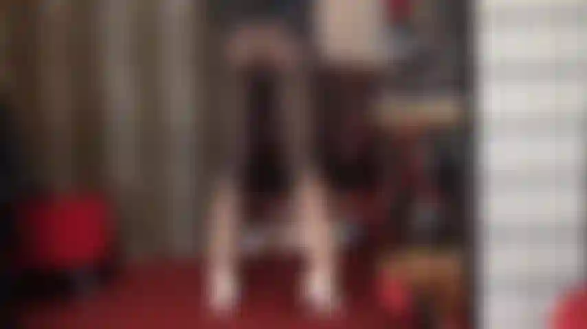 Stehe auf schwarz-weiße ombre-strumpfhosen in zwei farben.