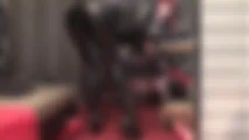 Je höher der tanga, desto größer dein verlangen, härter zu wichsen als je zuvor. Schiebe ein paar finger in dein arschloch, kitzle das sperma heraus, während die herrin deinen schwanz mit ihrem arsch und einem gemeinen handjob verrückt macht.