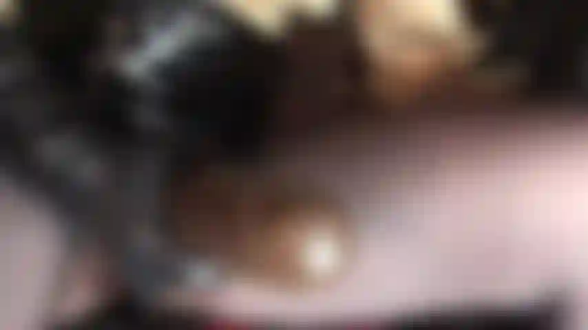 Ein leckerer, schokoladenbrauner, dicker, fleischiger strap-on. Bam ist sein name und „bam!“ Er wird in dein hurenmaul gefickt.