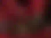 Fußfetisch, footjob – dein mit nylon bedeckter sklavenschwanz wird von den weichen roten handschuhen und den durchsichtigen strumpfhosenfüßen deiner göttin gemolken.