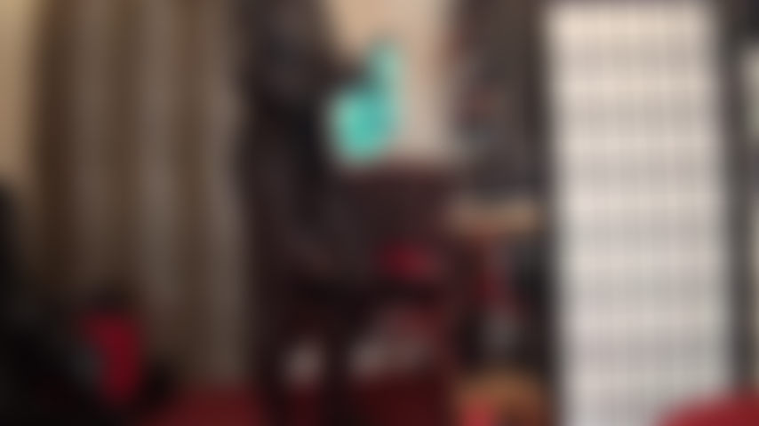 Ein sexy höschen-teaser mit einer vielzahl farbenfroher und leuchtend glänzender satinunterwäsche, kombiniert mit einem pvc-fetisch-bodysuit und blickdichten schwarzen wolford-strumpfhosen.