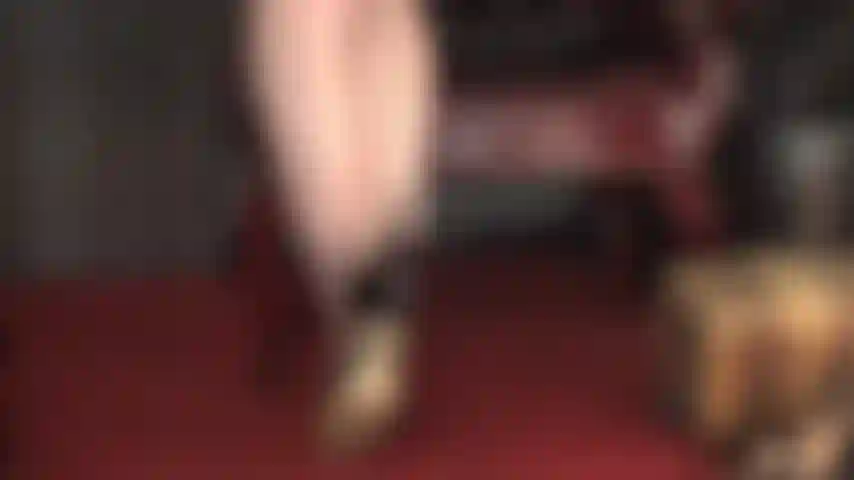 Herrin verlangt die anbetung ihrer verführerischen schwarzen nähte und stiletto-pumps, wobei ihre reitgerte den weg weist.