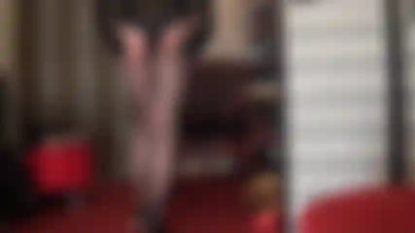 Hübsche strumpfhose mit zickzackmuster. Bewundere die faszinierenden kurven der herrin in dieser besonderen strumpfhose.