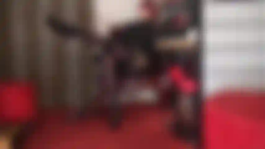 Die mit strümpfen und strumpfbändern verführt – weite strümpfe mit spitzenabschluss und strumpfbänder über strumpfhosen haben einfach das gewisse etwas, das den schwanz ihres sklaven hart und pochend macht …