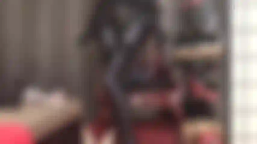 Langsam, ganz langsam wird die herrin mit ihrem glänzenden hintern, ihren beinen und füßen in grauen leohex-spandex-strumpfhosen und mehrlagigen strapsstrümpfen das sperma aus deinem schwanz locken.