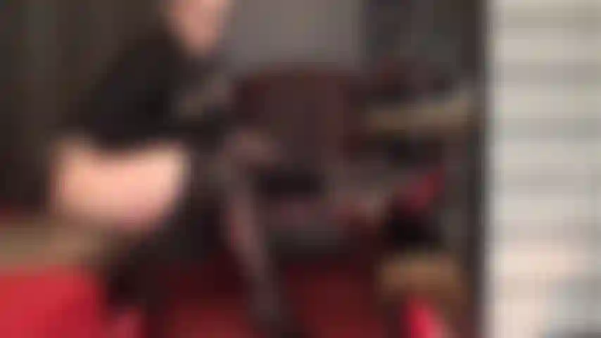 Fetisch für überkreuzte strumpfbeine – die herrin streichelt den schwanz ihres sklaven auf ihren sexy schwarzen lack-stilettos und glänzenden strumpfhosen mit strumpfhaltern.