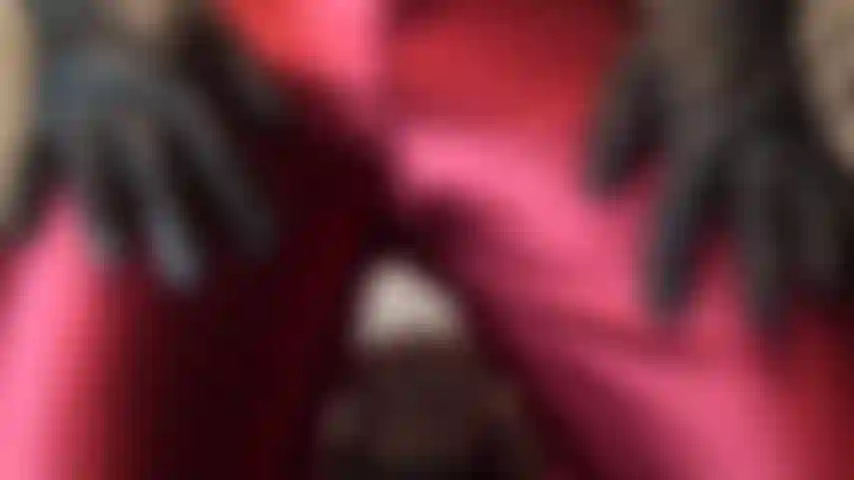 Herrin vivian in einer glänzenden roten satinhose.