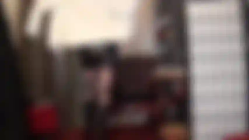 Herrin vivians liebe für weiche pelzmäntel …