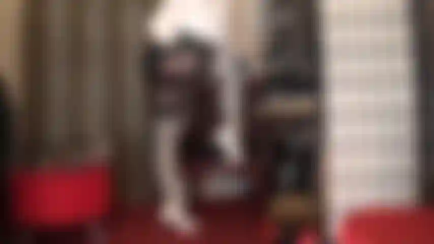 Glänzende weiße strümpfe und strumpfhalter über metallisch braunen spandex-strumpfhosen – was für ein unglaublich hübsches outfit zum anbeten … weiße absätze, bluse und schwarze lederhandschuhe, die langsam die wundervollen kurven der herrin erkunden.