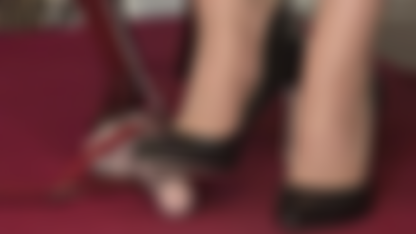 Superglänzende nylonfüße in lederpumps tun deinem sklavenschwanz weh. Der gedanke, dass auf dir herumgetreten wird und dein schwanz von füßen und absätzen getreten und zerquetscht wird, macht dich schwach.